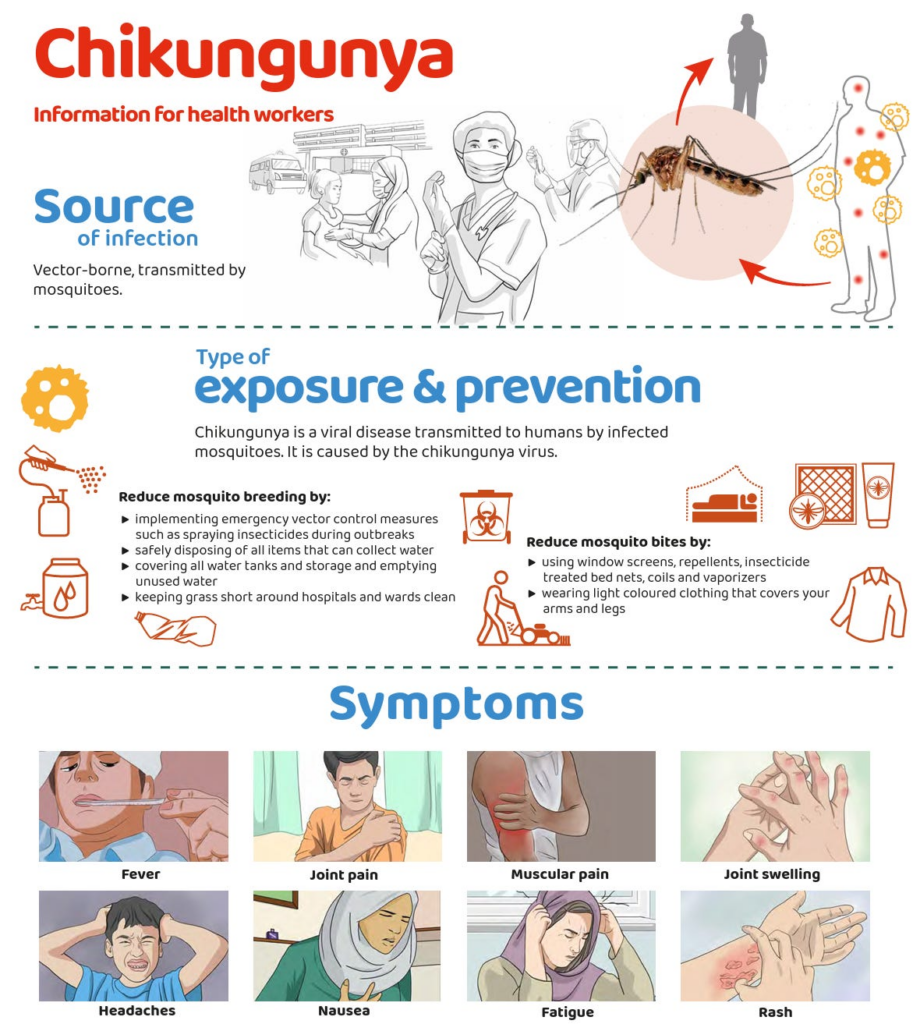 Emerging Treatments for Chikungunya Disease