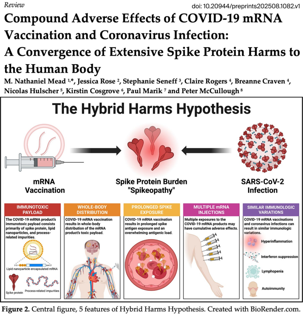 BREAKING MANUSCRIPT: mRNA Vaccines and SARS-CoV-2 Synergistically Fuel Global Excess Mortality and Illness