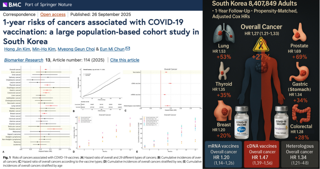 BREAKING: Second Massive Population Study Finds COVID-19 “Vaccines” Increase Risk of 6 Major Cancers