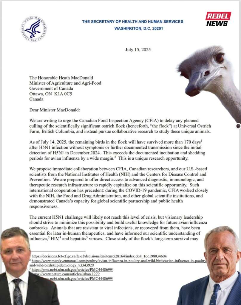 BREAKING: Canada’s Mass Extermination of 400 Healthy Ostriches Imminent
