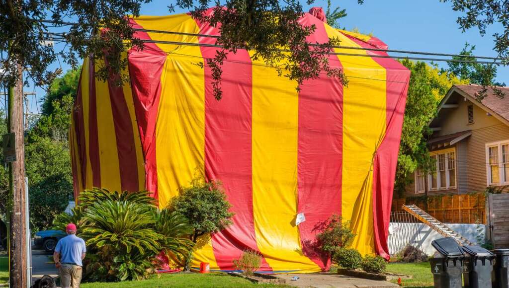 Termites Excited As Cool Tent Placed Over House (Satire)