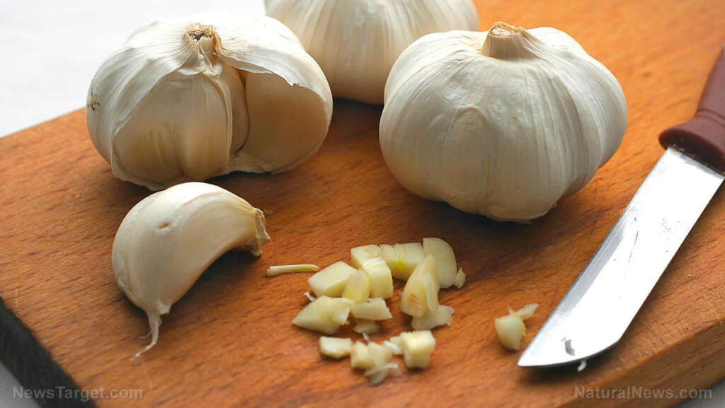 Is garlic the missing piece in your cold and flu defense strategy? Science says YES!
