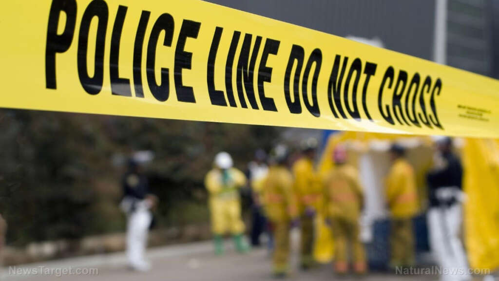 Amsterdam’s dark turn: Women and residents fear nighttime streets as crime soars