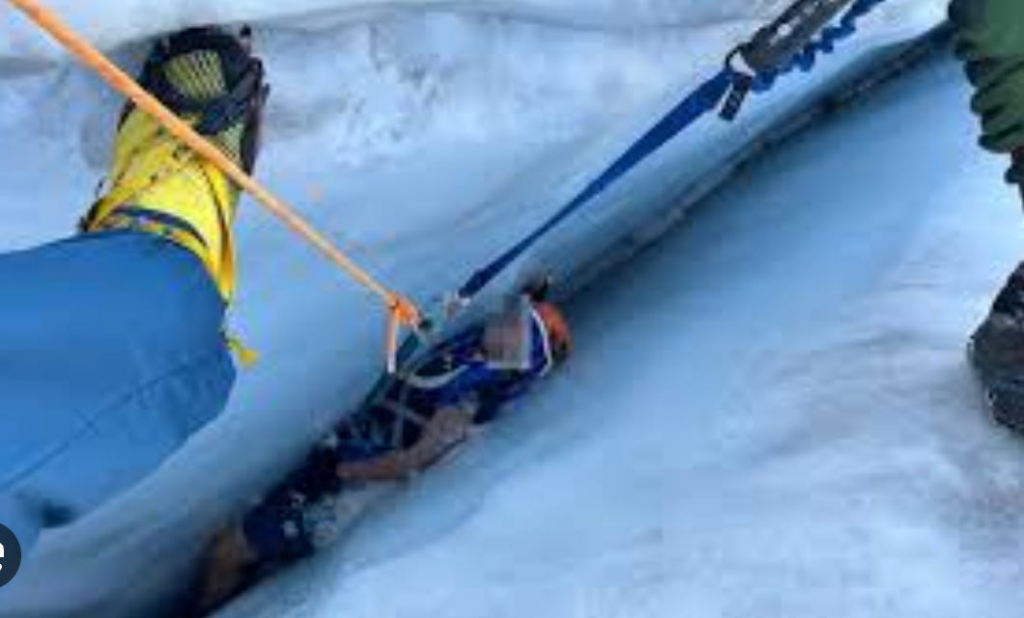 The Most Insane Academic Papers Ever Written?