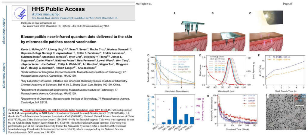 New Gates-Funded Microneedle Patch Implant Installs Both mRNA and Quantum Dot Markings Into the Body