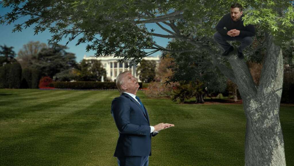 Zelenskyy Tries To Catch Glimpse Of Trump By Climbing White House Sycamore Tree (Satire)