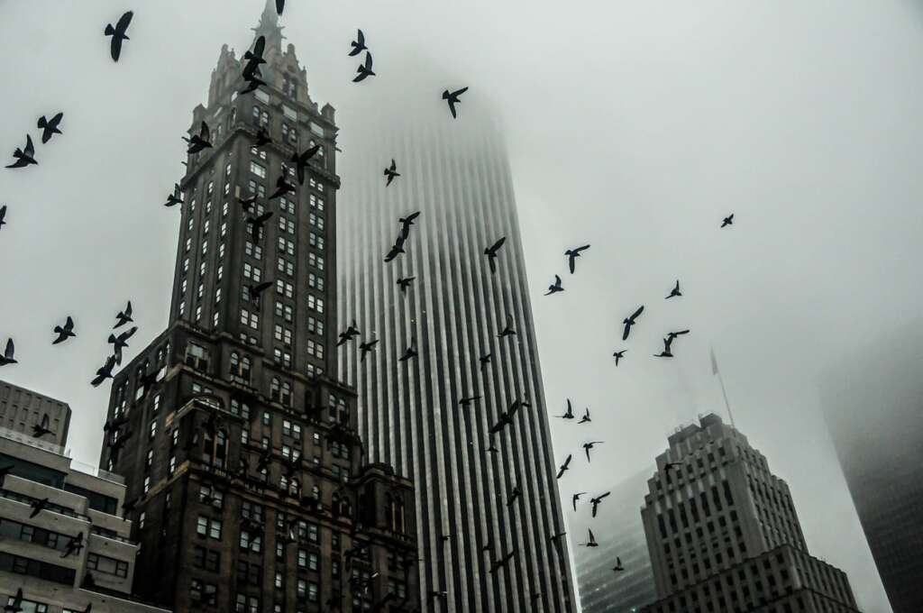 The Empire State Is Becoming the Tyranny State