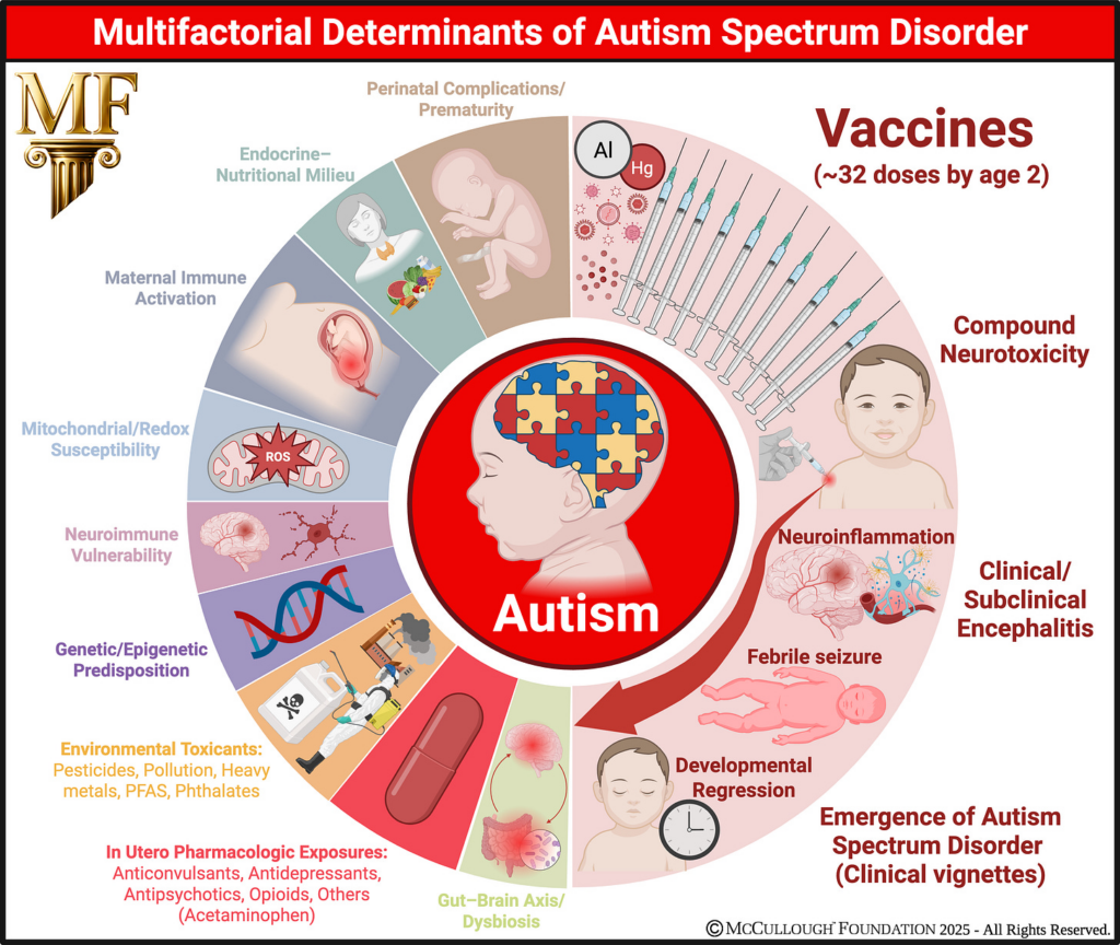 New McCullough autism paper: Vaccines are the single largest contributor to the risk of autism