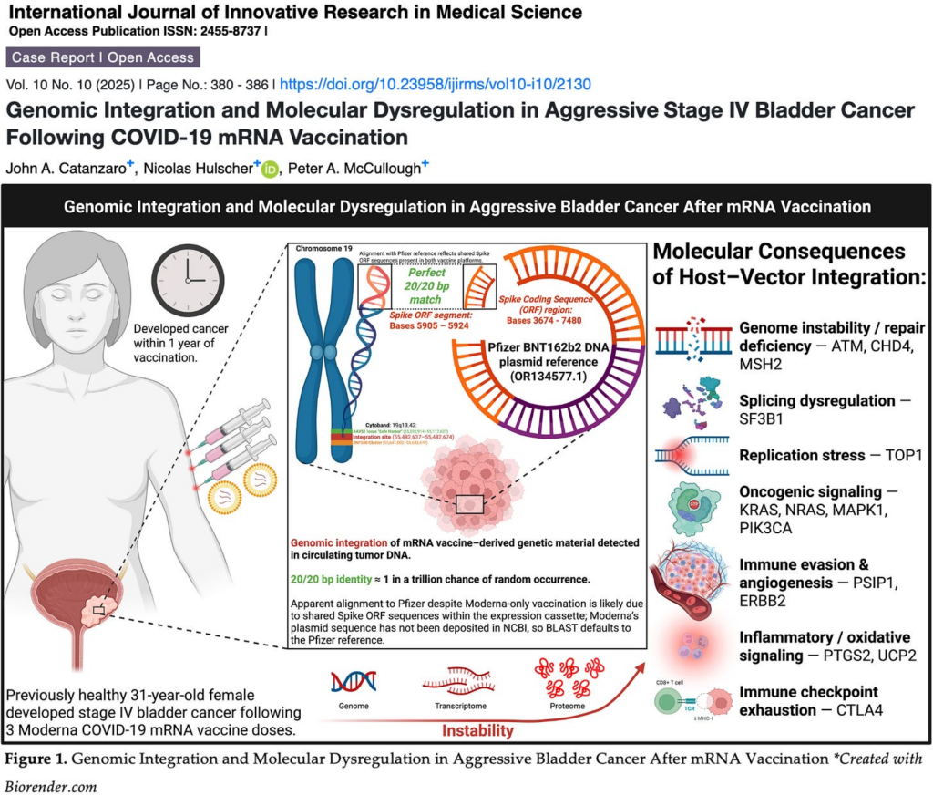 BREAKING: First Peer-Reviewed Study Finds Direct Molecular Evidence of mRNA “Vaccine” Genomic Integration