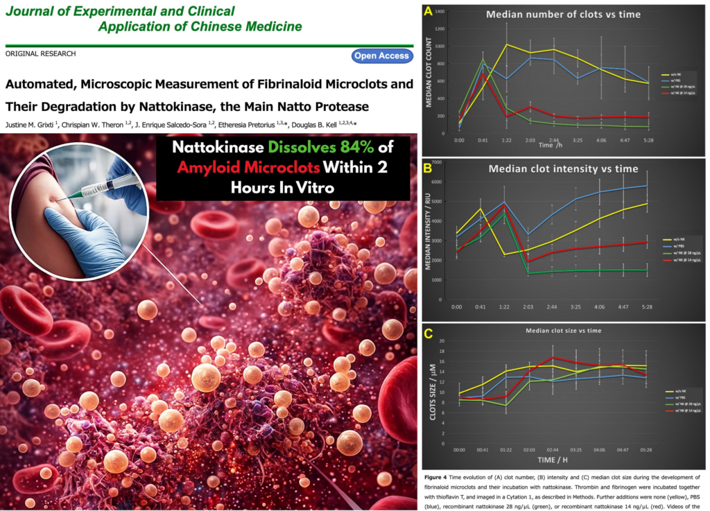 Study Finds Nattokinase Dissolves 84% of Amyloid Microclots Within 2 Hours In Vitro