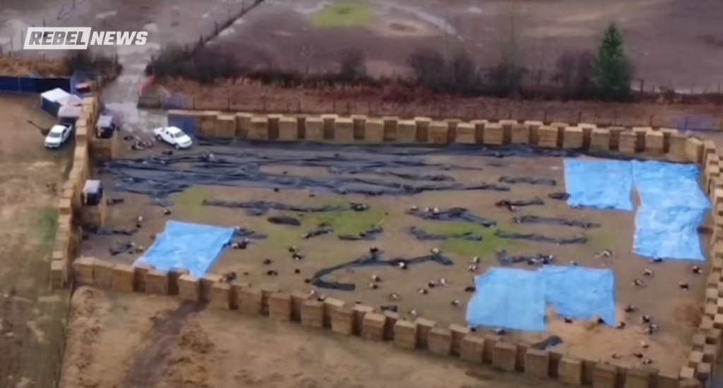 Canadian Government Massacres Hundreds of Perfectly Healthy Ostriches with High-Powered Rifles
