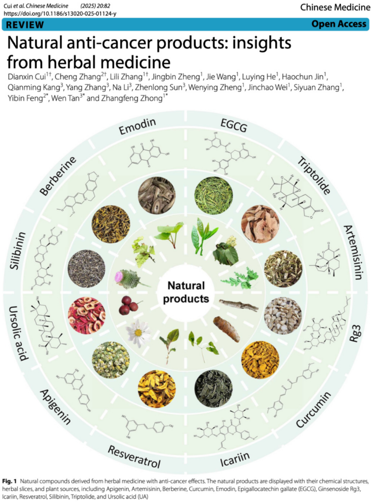 Over 1,100 Studies Reveal 12 Natural Compounds With Potent Anti-Cancer Effects Across All Major Tumor Pathways