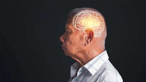 Science Finds Your Brain and Judgment Peak Around Age 60