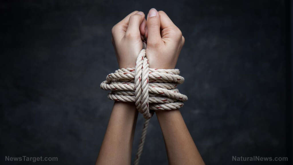 At least 98 Palestinian prisoners have died in Israeli custody, report finds