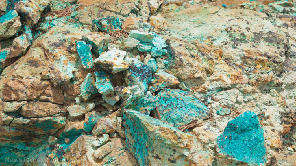 Japan and U.S. forge rare earth alliance to break China’s stranglehold on critical minerals