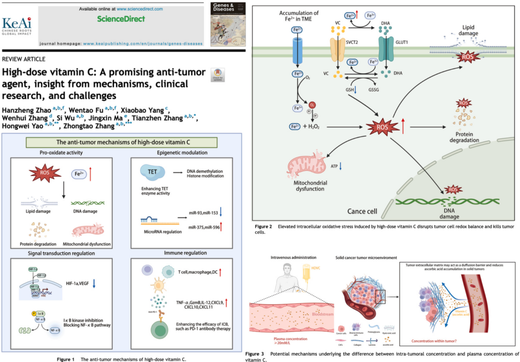 NEW STUDY: High-Dose Vitamin C Is a Potent Anti-Cancer Agent