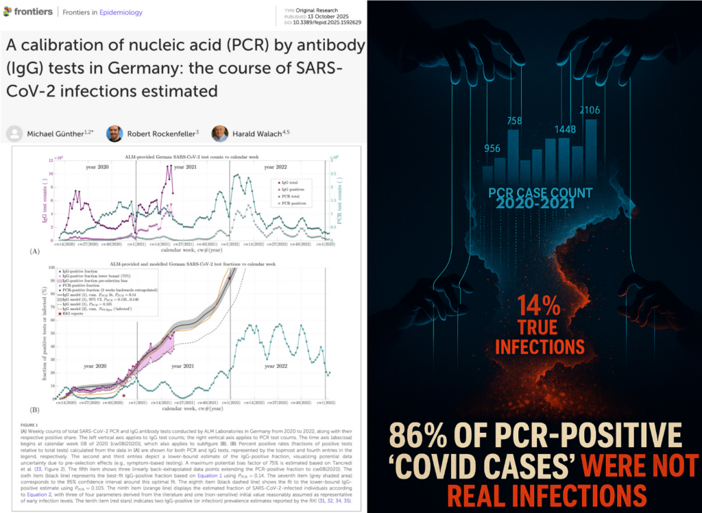 BREAKING: 86% of PCR-Positive “COVID Cases” Were Not Real Infections