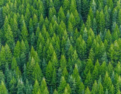 Does Solar Data Say We Are Headed for Regime Change?