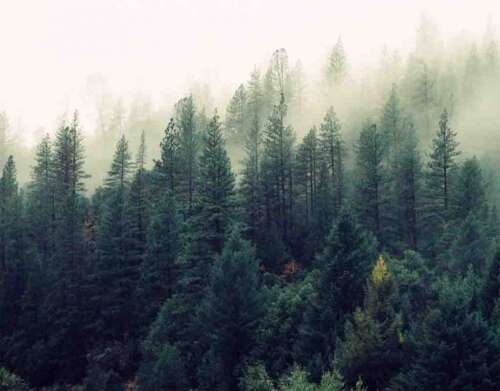 Why Your Job Sucks, If You Have One At All