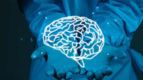 Early Neurorehabilitation After Head Injury Lowers Alzheimer’s Risk