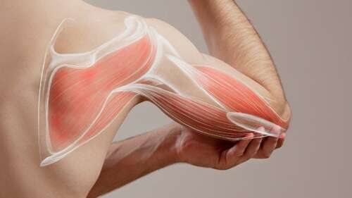 Low Metabolism and NAD+ Deficiency Implicated in Wasting Syndrome