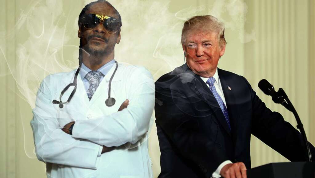 Trump Eases Marijuana Restrictions After Reviewing Extensive Research By Dr. S. Dogg (Satire)