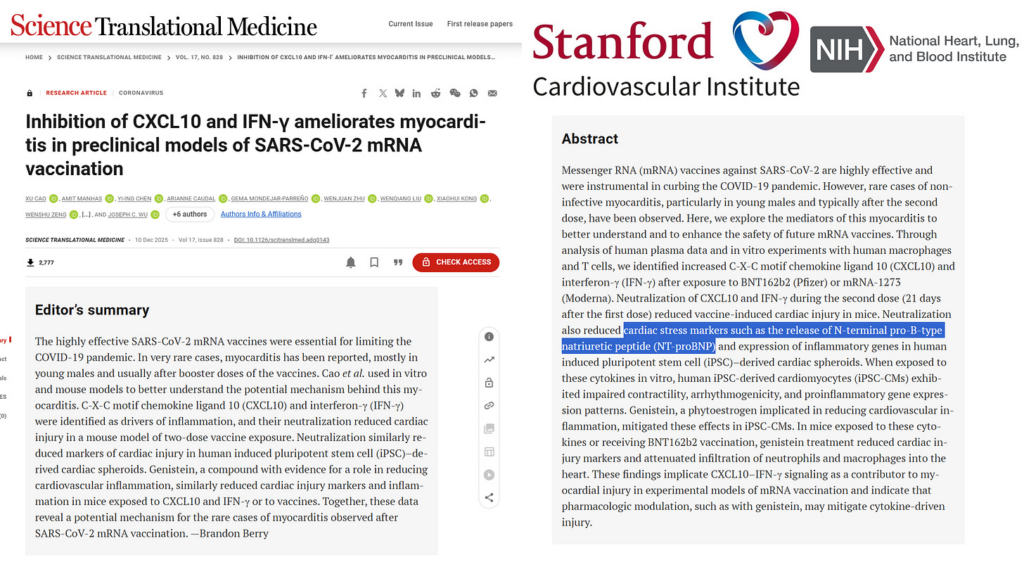 NIH Funded Study Demonstrates Secondary Mechanism of mRNA Myocarditis