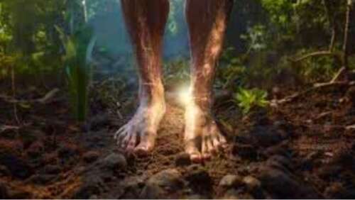 Your Body Is a Semiconductor – Start Acting Like It