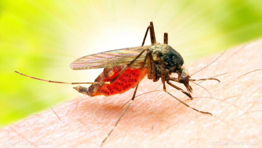 The phantom menace: How a vanished Zika crisis birthed a permanent bureaucracy