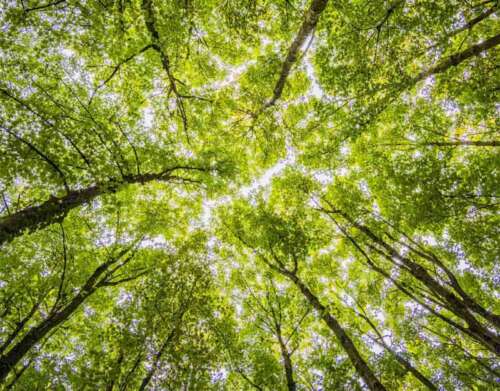 Regime Change is Coming Because They Fear Us