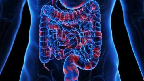 Toxic Chemicals in Food and Water Disrupt Your Gut Microbiome and Fuel Antibiotic Resistance