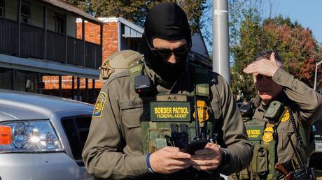 NATO allies expected to ‘do more’– US envoy