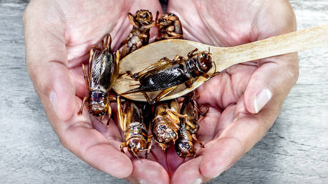 Spain accuses Italy and Germany of ‘undermining EU solidarity’ – media