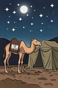 “Toleration”—The Camel’s Nose under the Tent