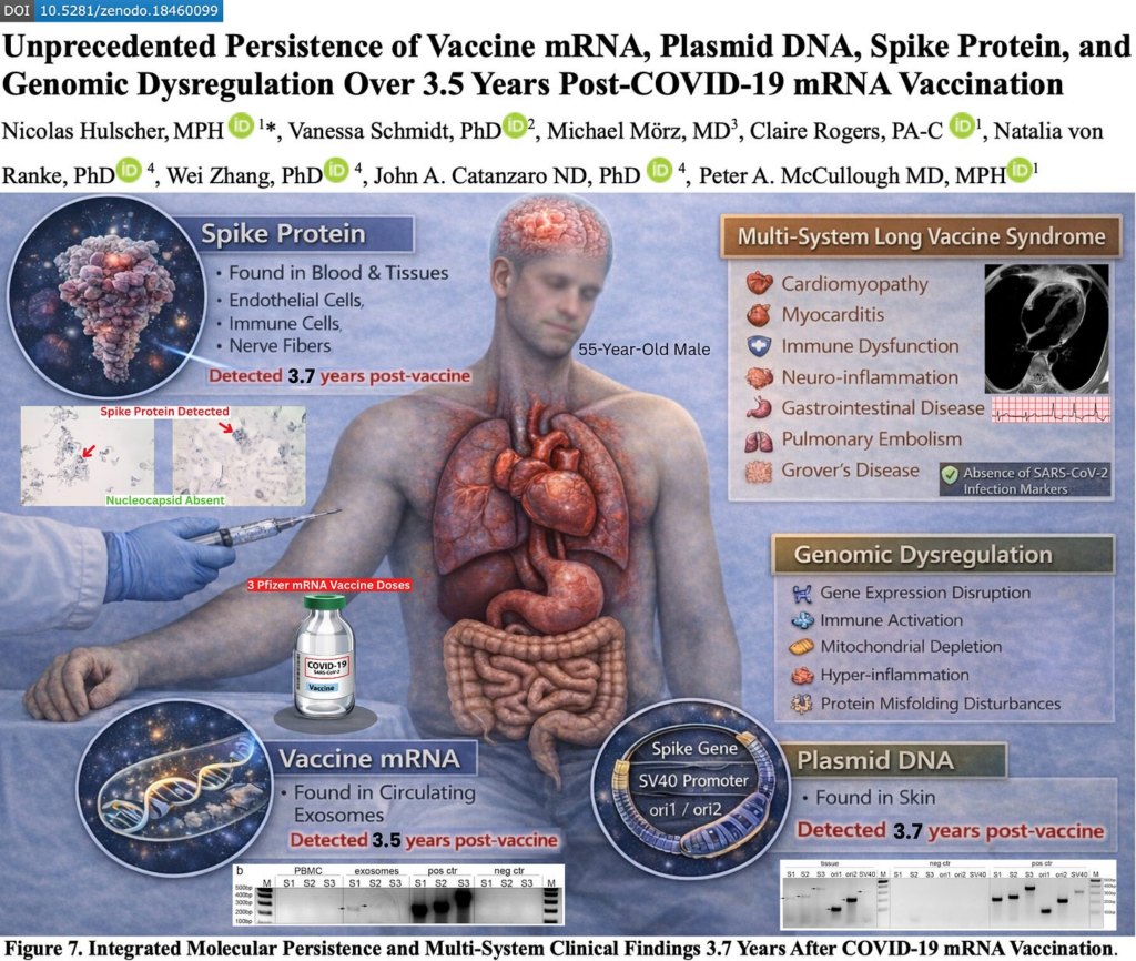 mRNA Injections Confirmed to Stay in the Body for Years as Bill Gates–Epstein Pandemic “Planning” Network Exposed