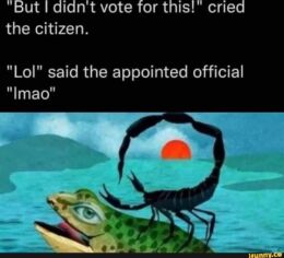 Direct Democracy: The Alternative to Globalist Plutocracy? Part 2